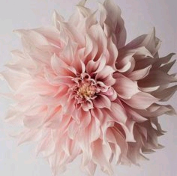 riitta14